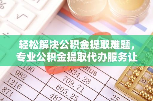 路环岛轻松解决公积金提取难题，专业公积金提取代办服务让生活更便捷