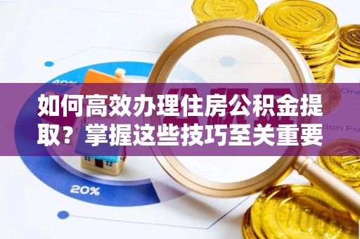 路环岛如何高效办理住房公积金提取？掌握这些技巧至关重要