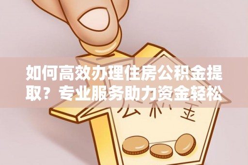 路环岛如何高效办理住房公积金提取？专业服务助力资金轻松到账