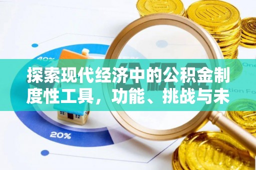 路环岛探索现代经济中的公积金制度性工具，功能、挑战与未来