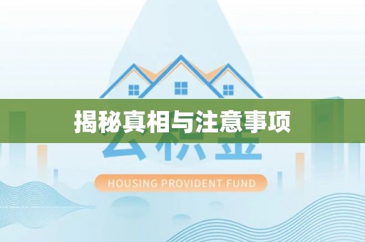 路环岛揭秘真相与注意事项
