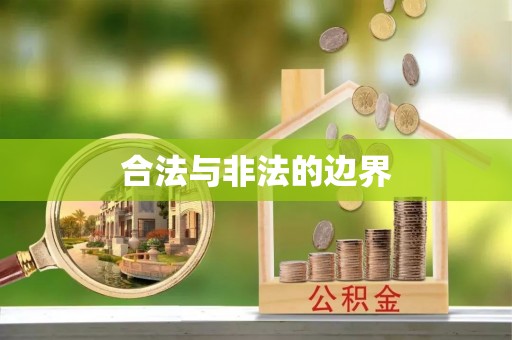 路环岛合法与非法的边界