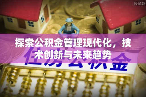 路环岛探索公积金管理现代化，技术创新与未来趋势