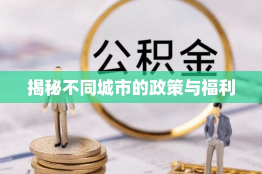 路环岛揭秘不同城市的政策与福利