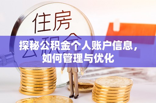 路环岛探秘公积金个人账户信息，如何管理与优化