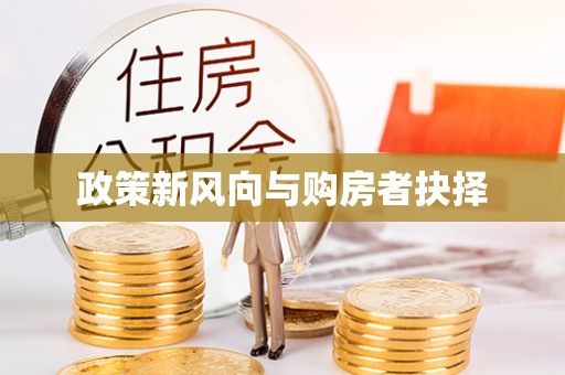 路环岛政策新风向与购房者抉择